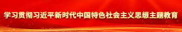 美女护士的骚逼被深深地插入学习贯彻习近平新时代中国特色社会主义思想主题教育